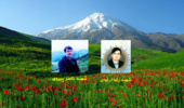 نامگذاری سالن جلسات به نام شهدای منابع طبیعی