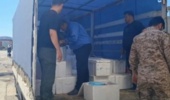 کردستان/ کشف یکهزار و 710 کیلوگرم قارچ ترافل قاچاق در مرز باشماق مریوان
