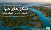 جنگل‌های مانگرو ایران؛ گنجینه‌ای سبز در مرز خشکی و دریا