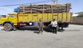 تهران/ توقیف محموله ۶ تنی چوب قاچاق در شهرستان ورامین و قرچک