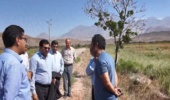 واگذاری ۴ میلیون هکتار طرح مرتعداری به بهره‌برداران در دستور کار سازمان منابع طبیعی/ احیای ایستگاه‌های تولید بذر و نهال با جدیت پیگیری می‌شود