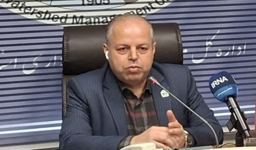گیلان در صدر تولید چوب صنوبر ایران قرار گرفت