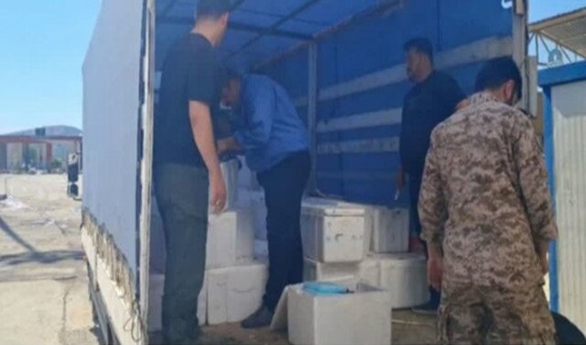 کردستان/ کشف یک‌هزار و 710 کیلوگرم قارچ ترافل قاچاق در مرز باشماق مریوان
