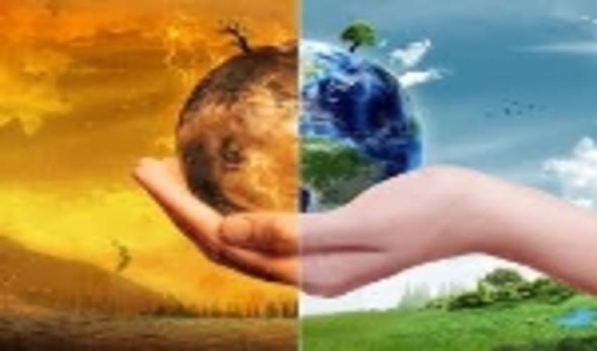 Forest, part of solution to global warming