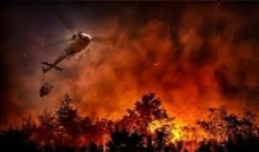 Fire in forests in northeastern Iran extinguished 