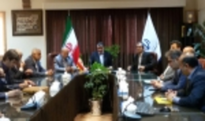 همه با هم برای حفاظت از جنگل‌ها تلاش کنیم