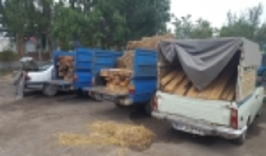 کشف 92 اصله چوب آلات قاچاق جنگلی در استان اردبیل