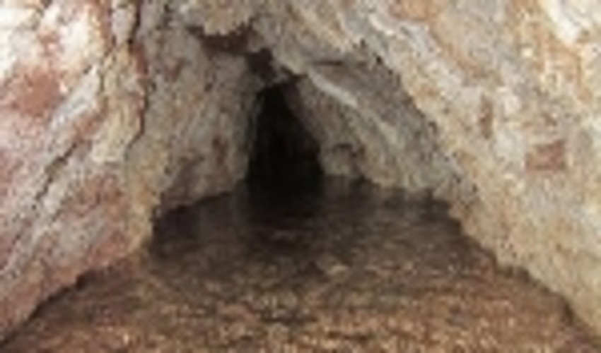 احیاء ۷ قنات در شهرستان قاین