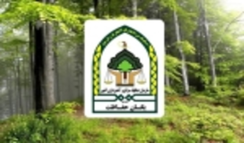 این بار حمله به مامورین حفاظت منابع طبیعی تالش