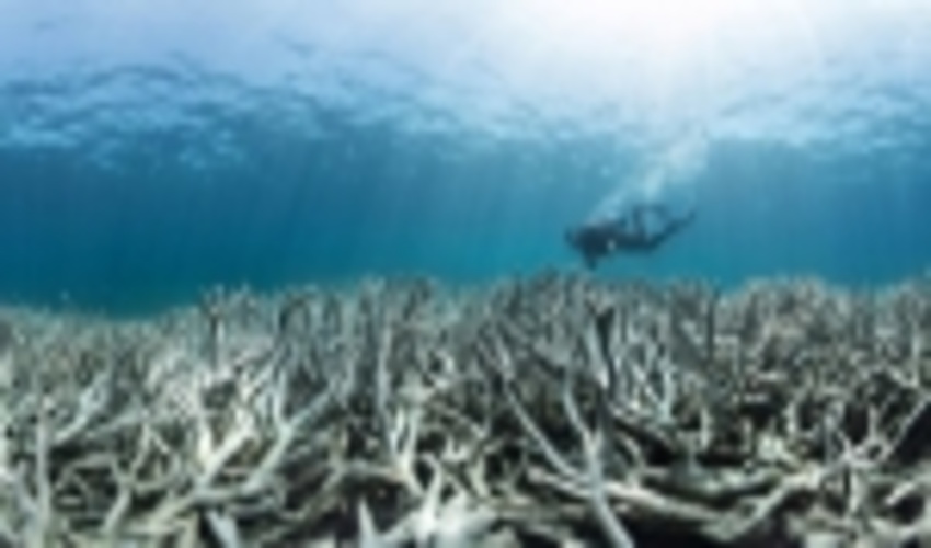Warming oceans to raise sea levels 30cm by 2100, study finds