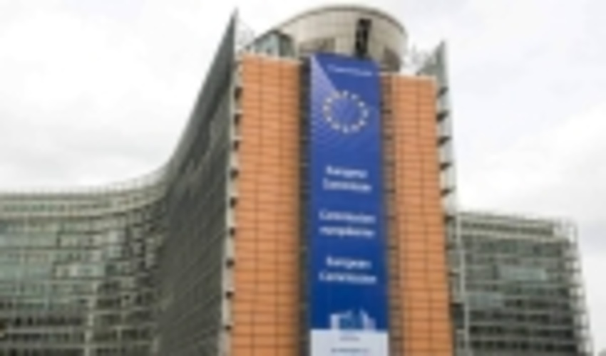 THE COHERENCE BETWEEN FOREST-RELATED POLICIES IN THE EU: THE ROLE OF THE EU FOREST STRATEGY