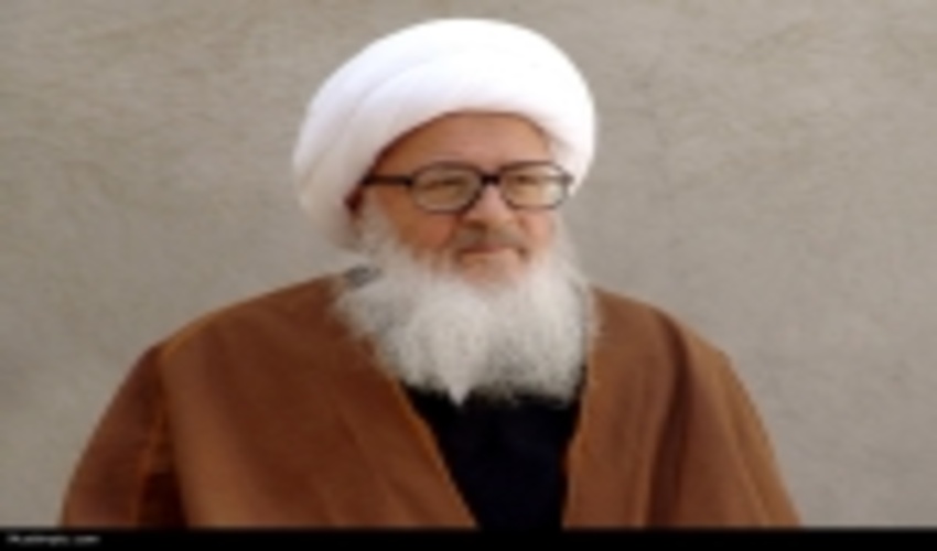 رئیس سازمان جنگل‌ها  و مراتع با آیت‌الله وحید خراسانی دیدار کرد