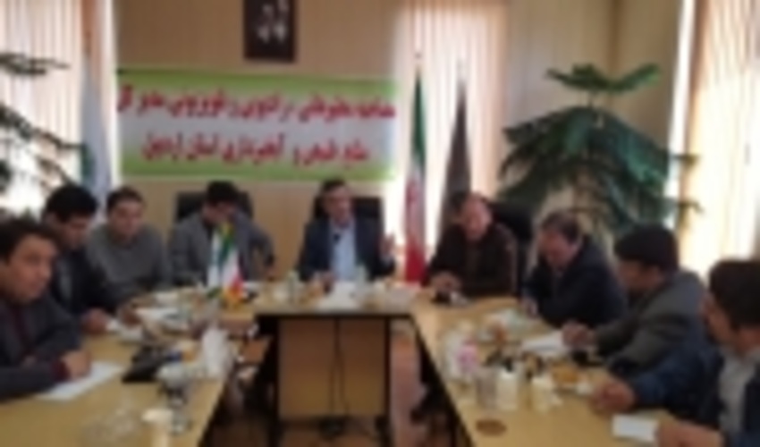 آغاز تولید ۲ میلیون اصله نهال صنوبر در شمال استان اردبیل