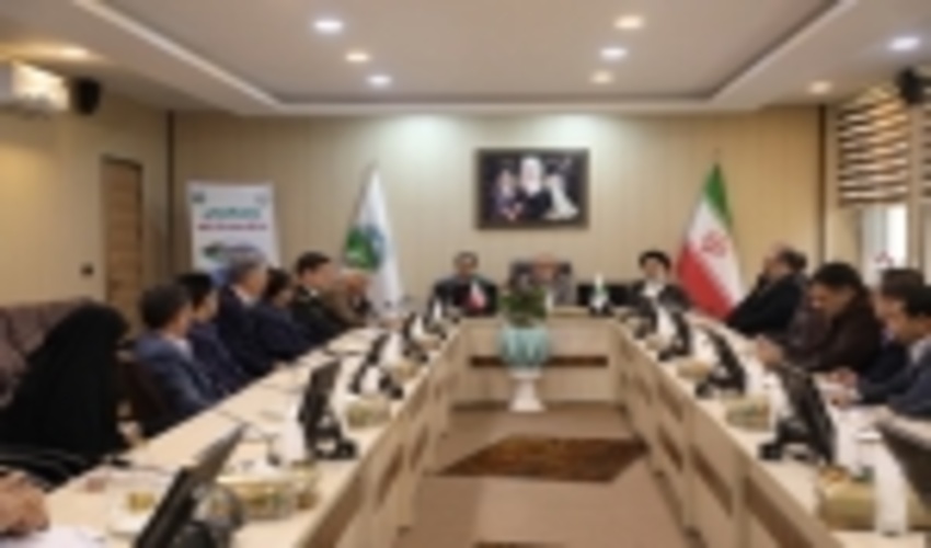 گزارش تصویری نشست ویدئوکنفرانسی رئیس سازمان جنگل‌ها با مدیران ستادی و استانی