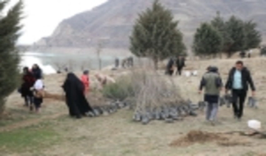 درختکاری علاقمندان طبیعت در لتیان/گزارش تصویری ۱