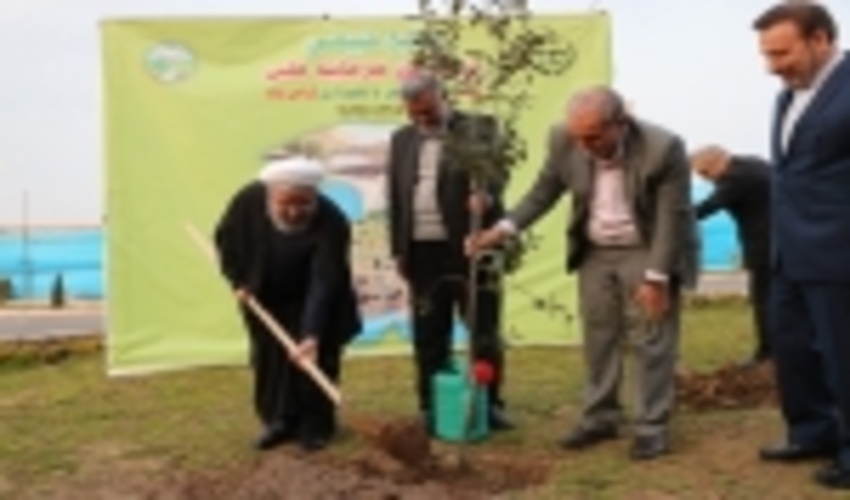 کاشت نهال به دست رئیس جمهور