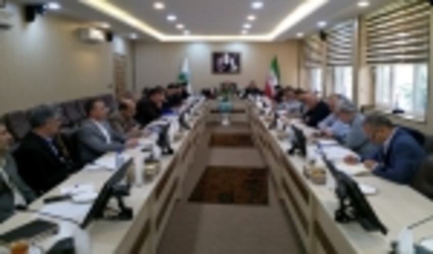 کارکنان سازمان جنگل ها با همدلی سال پر باری را برای منابع طبیعی کشور رقم می زنند