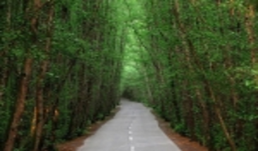Forest Futures: Sustainable pathways for forests, landscapes and people in the Asia-Pacific region