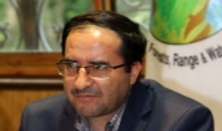 رفع تداخلات ناشی از اجرای مقررات موازی باعث کاهش 50 درصدی پرونده ها درمراجع قضایی می شود 