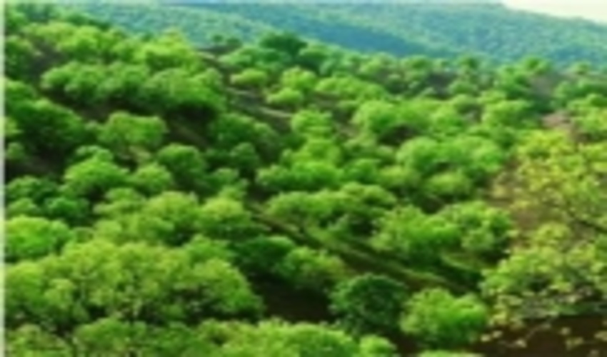 طرح جایگزین؛ طرح مدیریت پایدار منابع طبیعی در منطقه هیرکانی  