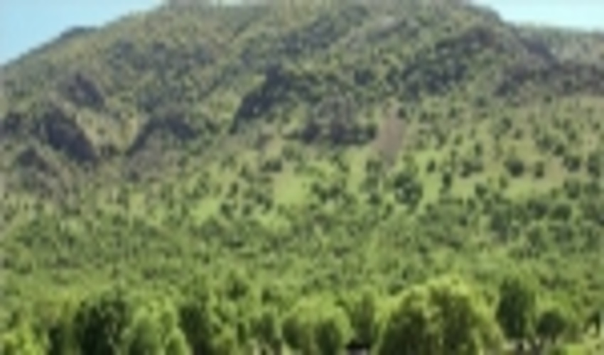 The Sixteenth Session of Zagros Forest Management Working Group Held in FRWO
