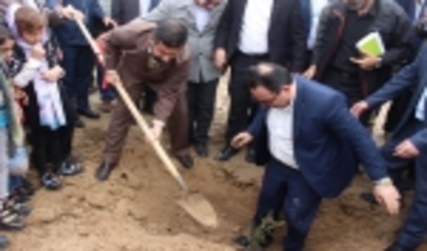 43 هزار اصله نهال در 8 شهر خوزستان غرس شد.