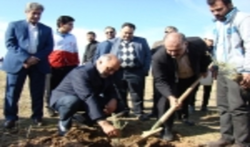 رویداد بزرگ نهالکاری با رویکرد مشارکت مردمی و تأکید بر فرهنگسازی منابع طبیعی