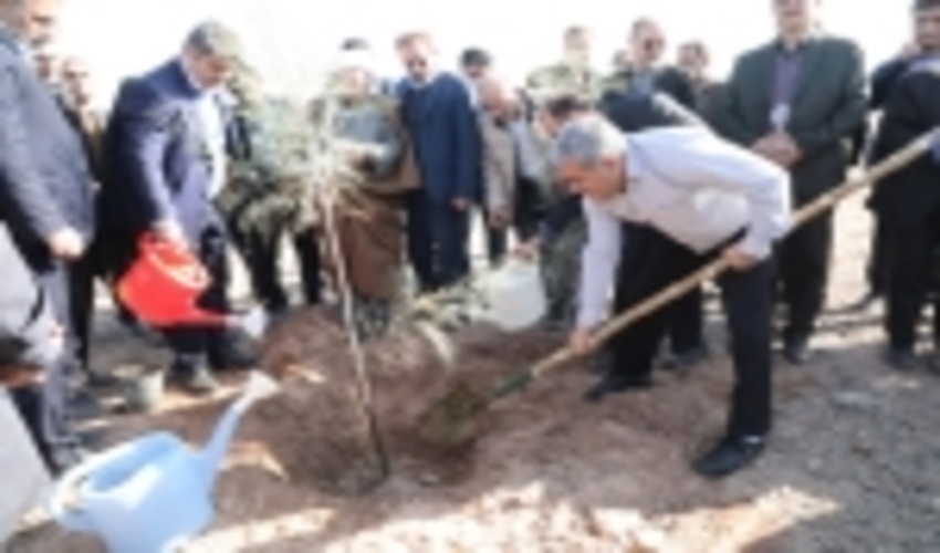 Plantation of 14 Million Seedlings in 432 Sites/ Photo Report