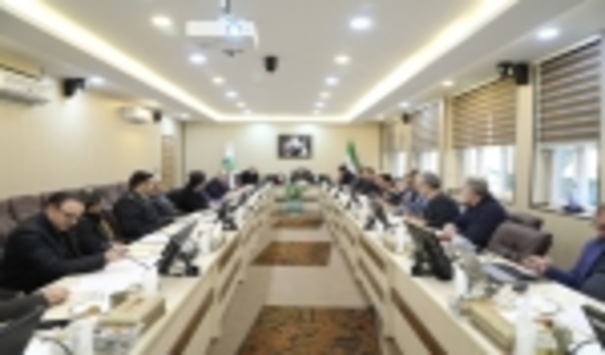 سرپرست سازمان جنگل ها بر اجرای مدیریت جامع آبخیز تاکید کرد