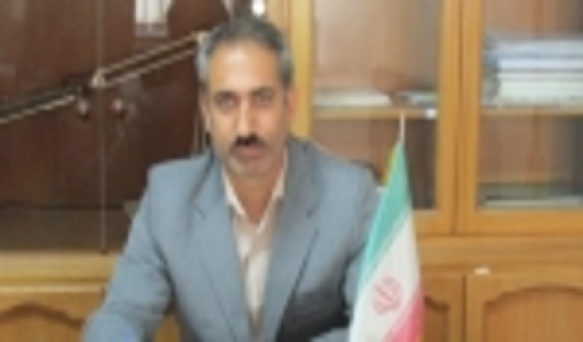 700 هکتار از جنگل های استان همدان غنی سازی شد