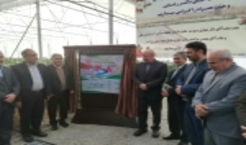 Inauguration of 499 Projects on the Occasion of Victory of Revolution