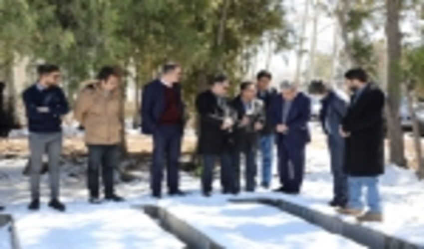 نهالستان بزرگ منابع طبیعی البرز ظرفیت بالایی برای تامین نهال سایر استان‌ها دارد