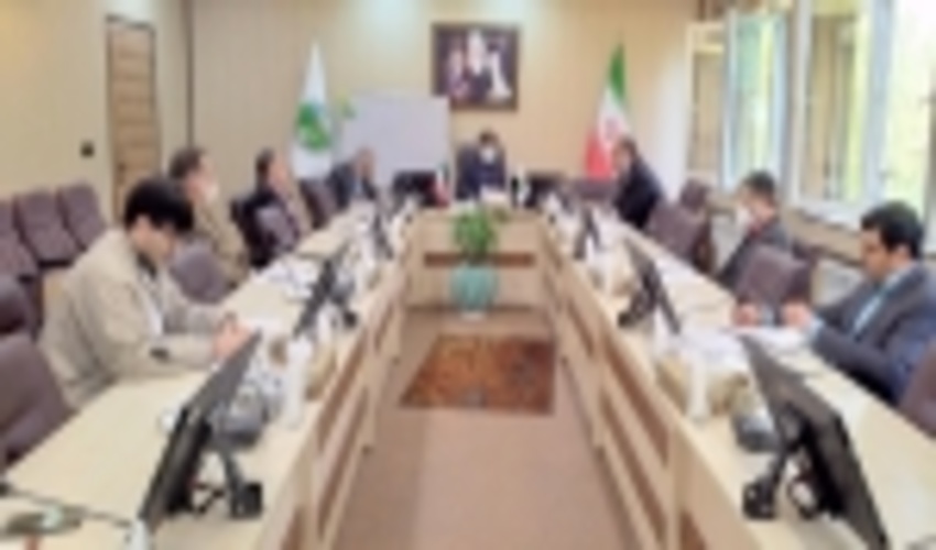 نشست اعضای شورایعالی جنگل مرتع و آبخیزداری با سرپرست سازمان
