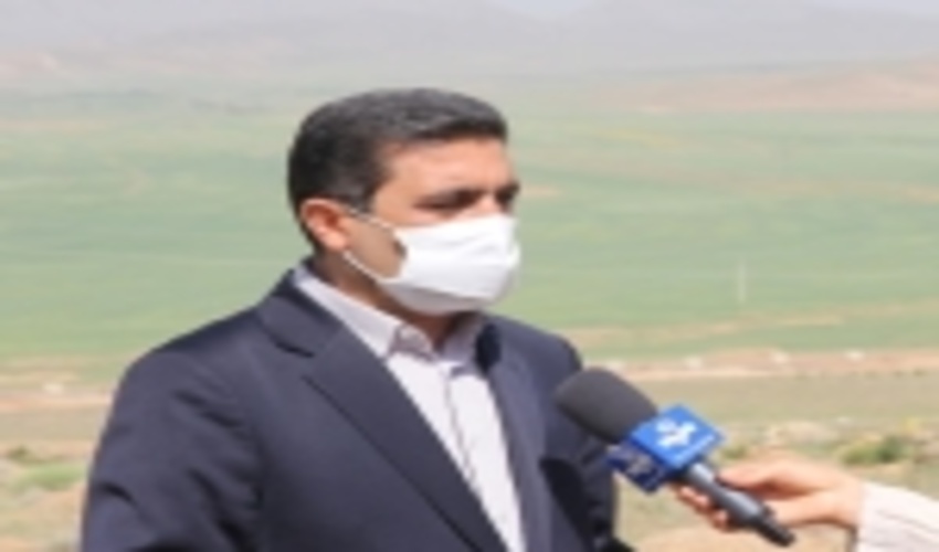 توسعه کشت گل محمدی در راستای اقتصادی کردن مراتع/ کشت گیاهی که کاهش 70 درصدی فرسایش خاک را به دنبال دارد