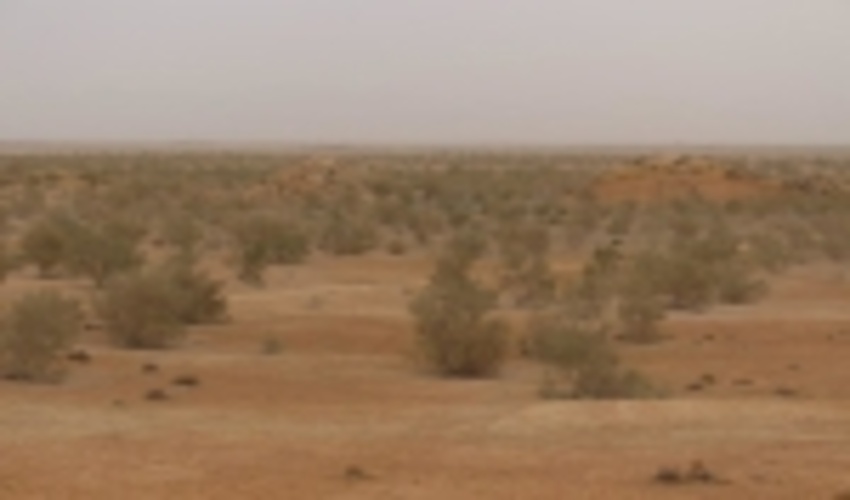 عقب نشینی 45 هزار هکتاری  بیابان  از خراسان جنوبی