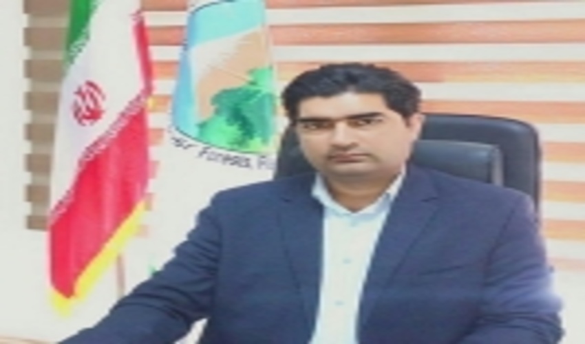 جنوب کرمان/اراضی ملی خسارت دیده از آتش‌سوزی واگذار نمی‌شود