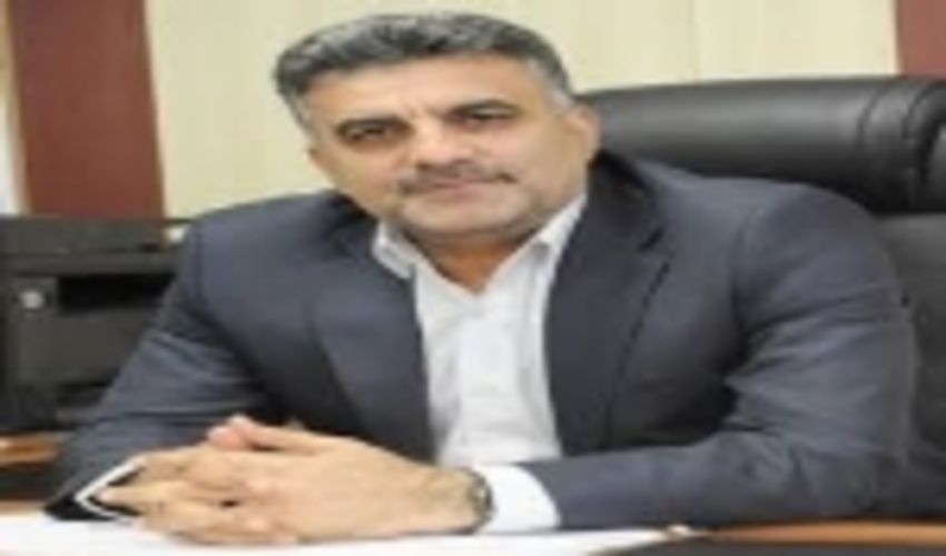 لرستان/کشت 1100 هکتار صنوبر و اُکالیپتوس در سال جهش تولید