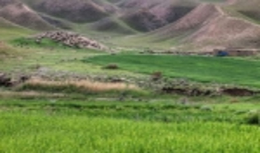 همدان/ 16 هزار هکتار از عرصه های منابع طبیعی اسد آباد مستعد اجرای طرح های آبخیزداری