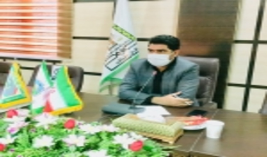 جنگل کاری در ۵ هزارو ۲۰۰ هکتار از اراضی جنوب کرمان