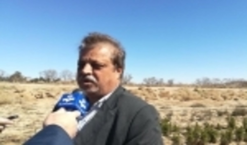 ۶۵۰هکتار عرصه طبیعی شاهرود نهال کاری شد