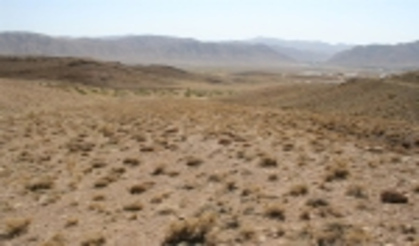 آزادسازی ۱۲۵۵ هکتار از اراضی ملی در شهرستان شادگان