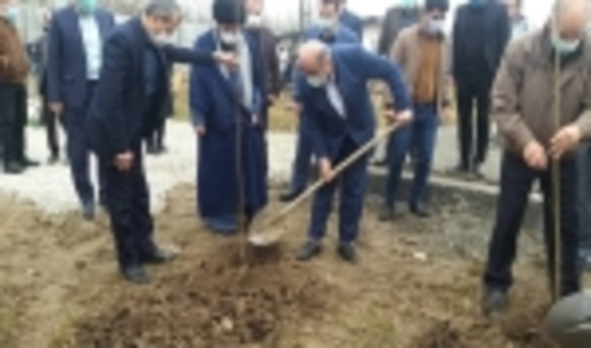 اختصاص ۴ هزار هکتار از اراضی مازندران به زراعت چوب