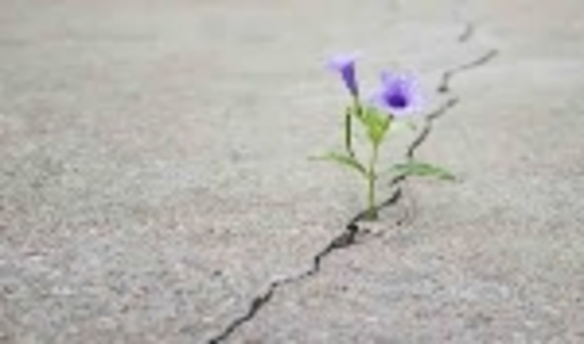 روزها از پی هم می گذرند، یک روز خوب، یک روزبد، زندگیست دیگر!