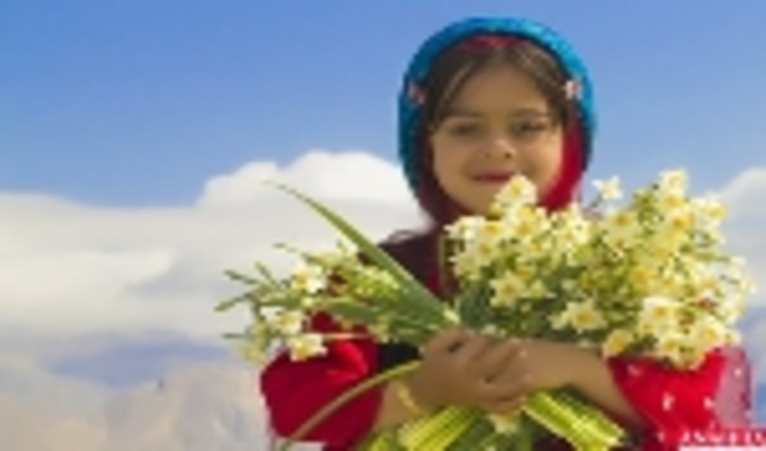 همه در بهار می رویند اما تو در زمستان! 