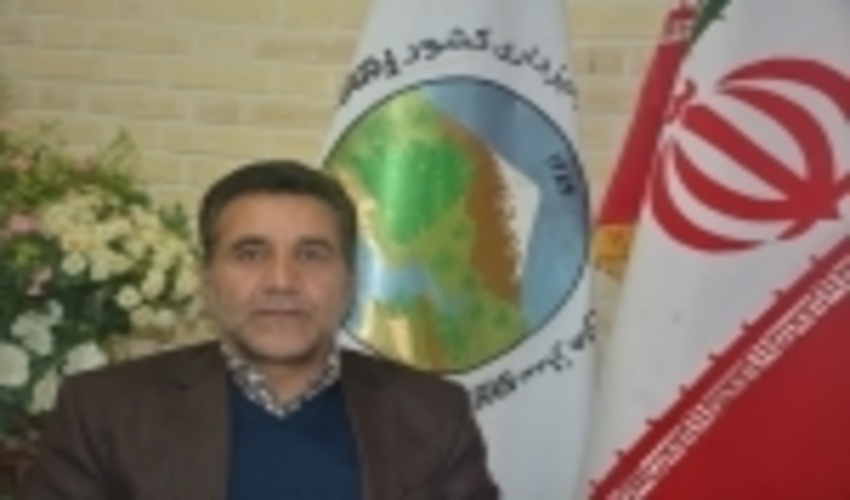 ۲۵۰ هکتار نهال‌کاری در اراضی بیابانی شهرستان گرمسار انجام شده است