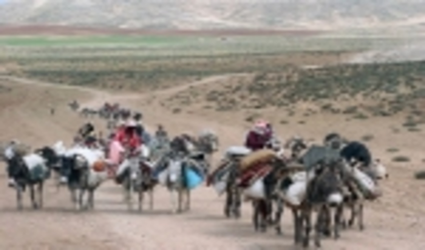 زمان بندی کوچ عشایر ۳۰ فروردین تا ۲۰ اردیبهشت اعلام شد