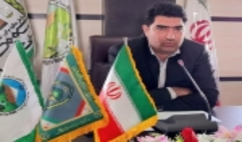 برداشت گیاهان دارویی و خوراکی از مراتع جنوب کرمان ممنوع شد