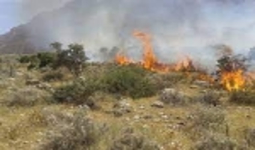 کاهش محسوس آتش سوزی در مراتع استان مرکزی