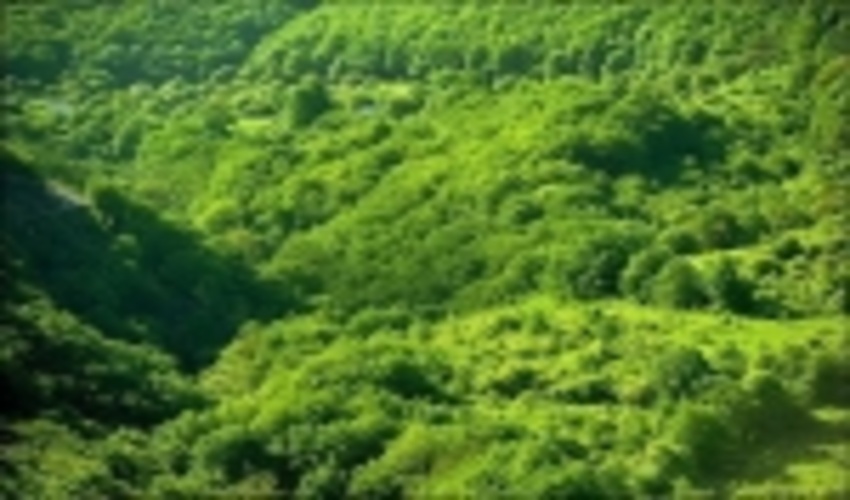 بیش از 5 هزار هکتار جنگل هیرکانی به منابع طبیعی بازگشت