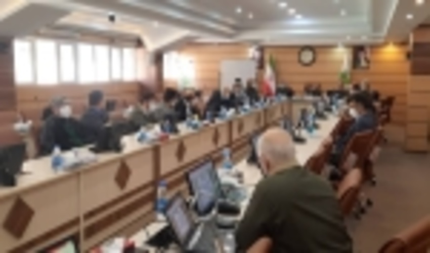 هم‌اندیشی مدیران سازمان جنگل‌ها و جامعه علمی تحقیقاتی پیرامون مدیریت جنگل‌های هیرکانی